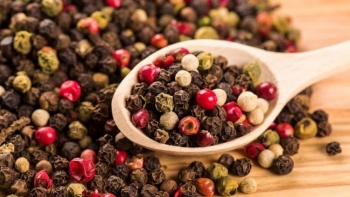 Giá hồ tiêu hôm nay 7/11: Ổn định mức cao, xuất khẩu sắp chạm mốc 1,5 tỷ USD