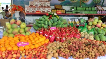 Sơn La chuẩn hóa vùng nguyên liệu, nâng tầm nông sản xuất khẩu