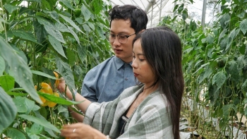 Xây dựng các vùng nông nghiệp hiện đại từ công nghệ cao