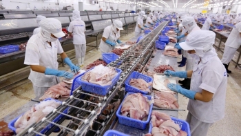 Tận dụng “chìa khóa” xuất xứ hàng hóa, mở rộng thị trường CPTPP