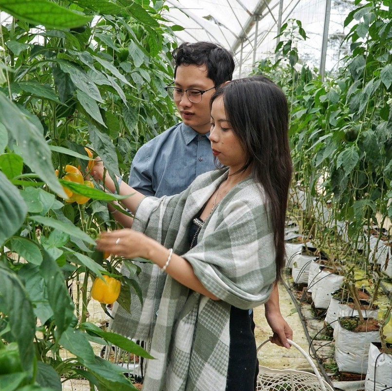 Du khách tham quan sản xuất nông nghiệp công nghệ cao ở Farmers Garden tại xã Măng Đen.