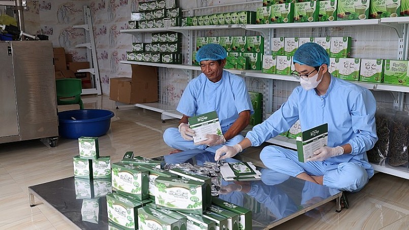 Hành trình rau má bản địa: Từ cây cứu đói đến OCOP bạc tỷ Hành trình rau má bản địa: Từ cây cứu đói đến OCOP bạc tỷ