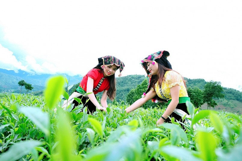 Tôn vinh giá trị nông sản vùng cao, quảng bá sản phẩm đặc trưng, đồng thời thúc đẩy kết nối giao thương, mở rộng thị trường tiêu thụ bền vững cho khu vực miền núi phía bắc Tôn vinh giá trị nông sản vùng cao, quảng bá sản phẩm đặc trưng, đồng thời thúc đẩy kết nối giao thương, mở rộng thị trường tiêu thụ bền vững cho khu vực miền núi phía bắc