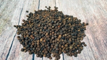 Giá tiêu hôm nay 10/11: Thị trường đi ngang, nông dân "găm hàng" chờ đợt phục hồi cuối năm