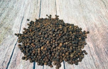 Giá tiêu hôm nay 10/11: Thị trường đi ngang, nông dân 