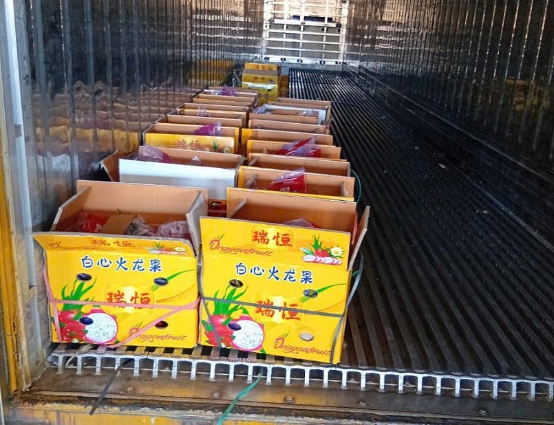 Nhiều tài xế container tố bị “bẫy” khi chở thanh long sang cửa khẩu Nhiều tài xế container tố bị “bẫy” khi chở thanh long sang cửa khẩu