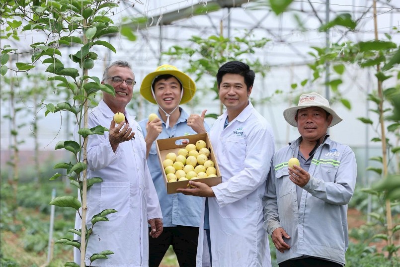 Xuất khẩu rau quả Việt bùng nổ, hướng tới mốc 10 tỷ USD Xuất khẩu rau quả Việt bùng nổ, hướng tới mốc 10 tỷ USD