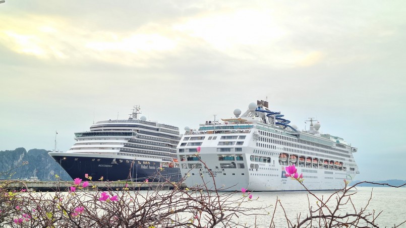 Cảng tàu khách quốc tế Hạ Long đón cùng lúc 2 tàu biển Westerdam và Star Voyager cập bến, mang theo hơn 3.100 du khách đến Quảng Ninh Cảng tàu khách quốc tế Hạ Long đón cùng lúc 2 tàu biển Westerdam và Star Voyager cập bến, mang theo hơn 3.100 du khách đến Quảng Ninh