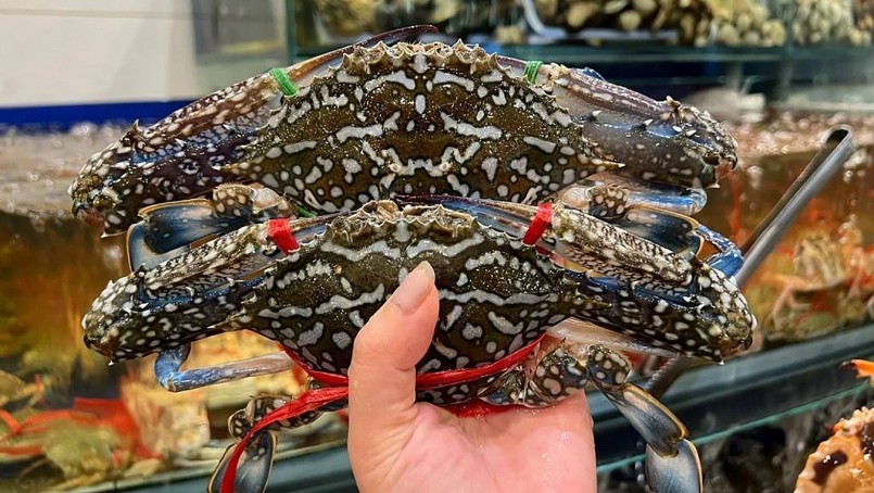 Xuất khẩu ghẹ Việt Nam sang Mỹ tạm thời chưa bị cấm xuất khẩu theo đạo luật bảo vệ thú biển của Mỹ Xuất khẩu ghẹ Việt Nam sang Mỹ tạm thời chưa bị cấm xuất khẩu theo đạo luật bảo vệ thú biển của Mỹ