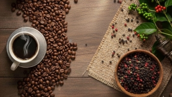 Giá nông sản hôm nay 14/11: Cà phê lao dốc "chưa từng thấy", hồ tiêu tiếp đà giảm sâu