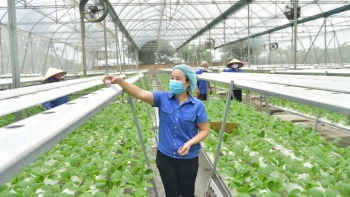 Trồng trọt giảm phát thải, hướng đến Net Zero 2050