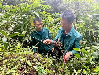 Thu Lũm chuyển mình từ đất bạc màu thành 