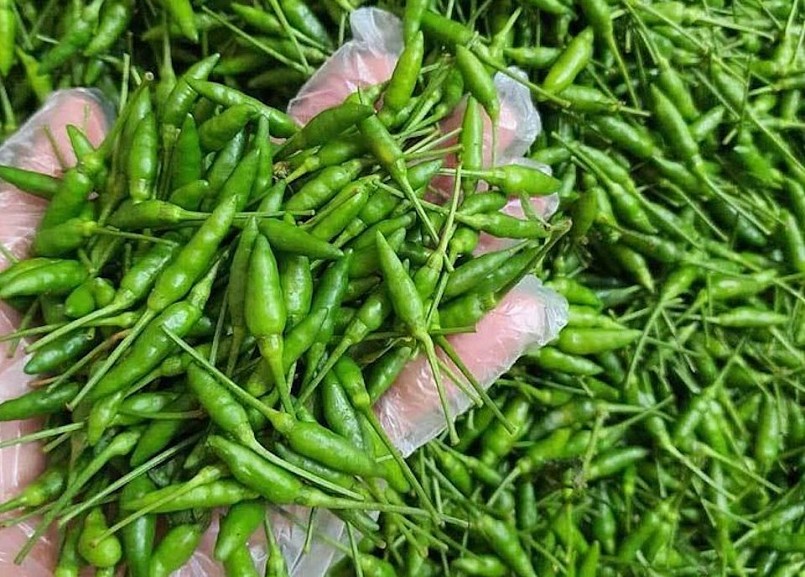 Loại quả bé tí ngày xưa mọc dại, nay giá 1 triệu/kg vẫn được săn lùng Loại quả bé tí ngày xưa mọc dại, nay giá 1 triệu/kg vẫn được săn lùng