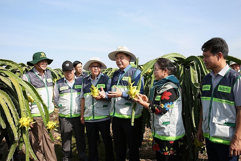 Đổi mới toàn diện hoạt động khuyến nông, lấy nông dân làm trung tâm Đổi mới toàn diện hoạt động khuyến nông, lấy nông dân làm trung tâm