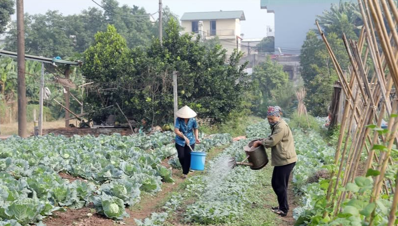 Nghị định 98 sửa đổi: Nghị định 98 sửa đổi: