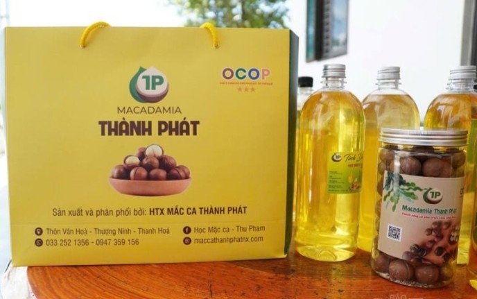 Từ sườn đồi xanh đến kinh tế mới: Câu chuyện hạt mắc ca Thượng Ninh