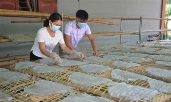 Thanh Hóa: Đặc sản miến dong Hương Ngọc