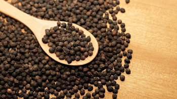 Giá hồ tiêu hôm nay 18/11: Tăng nhẹ, xuất khẩu hưởng lợi lớn từ chính sách thuế Mỹ