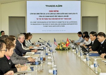 Gia Lai hợp tác với bang Idaho (Hoa Kỳ) phát triển chăn nuôi bò thịt công nghệ cao