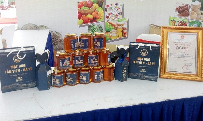 Từ bếp lửa bản làng đến thương hiệu OCOP: Khi sản vật vùng cao kể chuyện Từ bếp lửa bản làng đến thương hiệu OCOP: Khi sản vật vùng cao kể chuyện