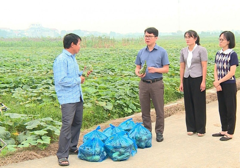 Nhận thấy hiệu quả kinh tế bền vững mà cây bí đỏ mang lại, những năm gần đây, nông dân ở nhiều địa phương đã chủ động mở rộng diện tích trồng, tận dụng tối đa quỹ đất để thâm canh. Ảnh: Báo Phú Thọ Nhận thấy hiệu quả kinh tế bền vững mà cây bí đỏ mang lại, những năm gần đây, nông dân ở nhiều địa phương đã chủ động mở rộng diện tích trồng, tận dụng tối đa quỹ đất để thâm canh. Ảnh: Báo Phú Thọ