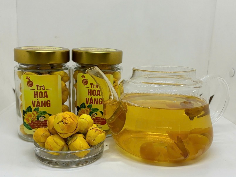 Hồi sinh “vàng xanh” trà hoa vàng: Từ bảo tồn di sản đến khát vọng OCOP 5 sao