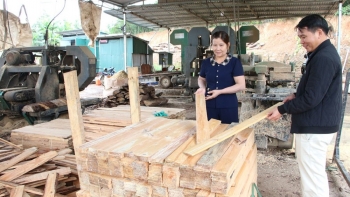 Điểm sáng kinh tế Sơn Động: Khi nông dân liên kết sản xuất để vươn xa