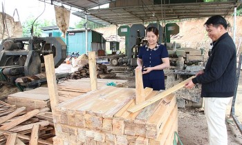 Điểm sáng kinh tế Sơn Động: Khi nông dân liên kết sản xuất để vươn xa