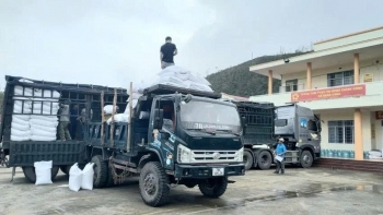 Xuất cấp 4.000 tấn gạo dự trữ quốc gia cho Gia Lai, Đắk Lắk, Lâm Đồng