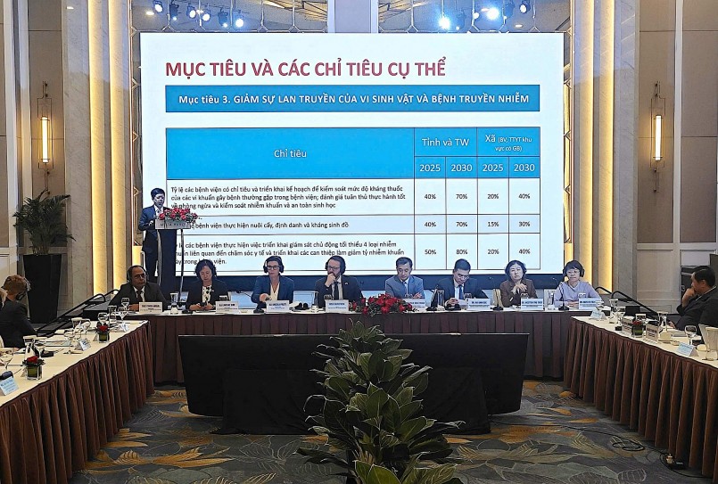 Toàn cảnh hội thảo về kháng thuốc hưởng ứng Tuần lễ Thế giới nâng cao nhận thức về kháng thuốc - Ảnh: D.LIỄU