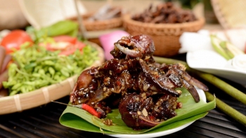 Về miền Tây thưởng thức loài vật giống cua đồng: Làm mắm đậm đà, ăn một lần là ghiền