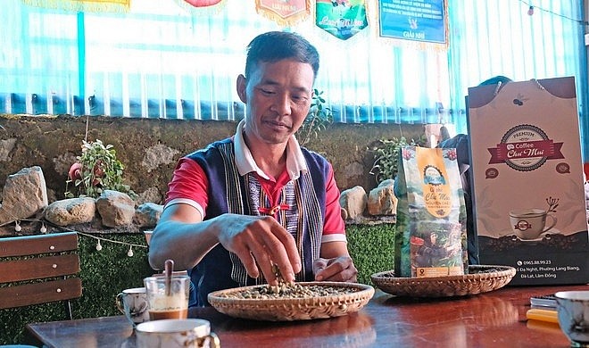 Nông dân Lâm Đồng trồng loại cà phê gì mà bán tới 300.000 đồng/kg, đạt chuẩn OCOP 3 sao? Nông dân Lâm Đồng trồng loại cà phê gì mà bán tới 300.000 đồng/kg, đạt chuẩn OCOP 3 sao?