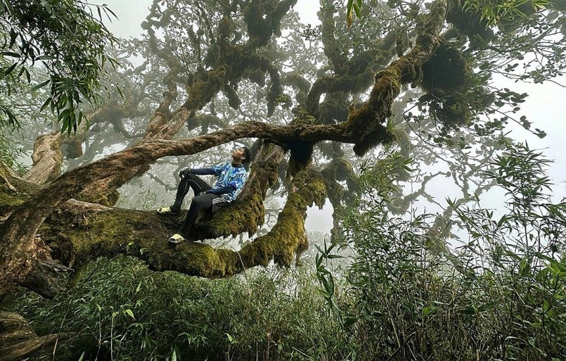 Điều gì khiến Việt Nam trở thành 1 trong 5 nơi lý tưởng nhất thế giới để Điều gì khiến Việt Nam trở thành 1 trong 5 nơi lý tưởng nhất thế giới để