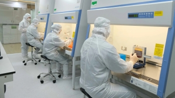 Loại tế bào "đặc biệt" mở ra cánh cửa hy vọng cho hàng loạt bệnh lý hiểm nghèo