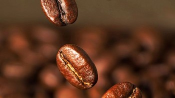 Giá cà phê ngày 27/11: Bật tăng mạnh, vượt mốc 112.000 đồng/kg