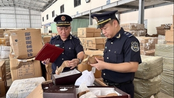 Hải quan tăng cường phối hợp liên ngành chống gian lận và vi phạm quyền sở hữu trí tuệ