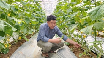 Mở đường cho nông nghiệp hiện đại: Từ chính sách đột phá đến những mô hình tiên phong trên đồng đất xứ Thanh