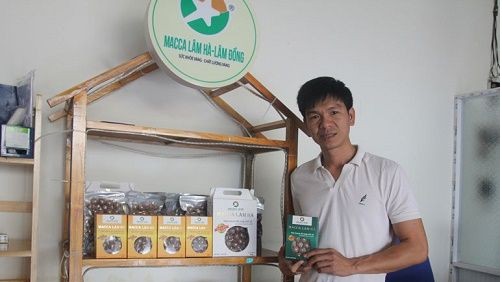 Lâm Đồng đề xuất nâng hạng 5 sao OCOP với 2 sản phẩm macca