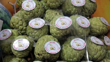 Lục Nam (Bắc Giang): Na, nhãn bước vào vụ thu hoạch