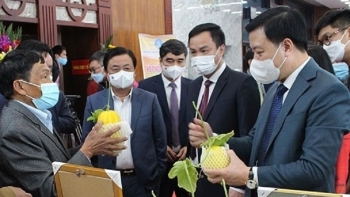 Hải Dương trao chứng nhận cho 53 sản phẩm xếp hạng OCOP năm 2021