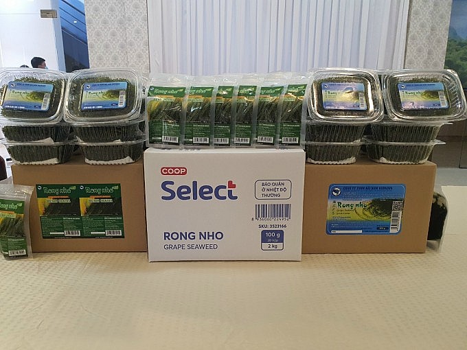 Sản phẩm OCOP tỉnh Bình Thuận Sản phẩm OCOP tỉnh Bình Thuận