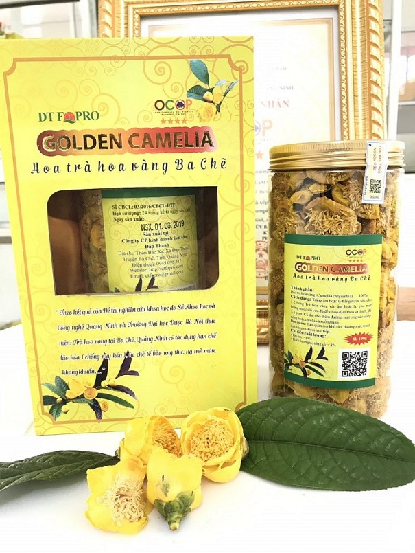 Trà Hoa Vàng Ba Chẽ - một trong số các sản phẩm nổi tiếng của tỉnh Quảng Ninh Trà Hoa Vàng Ba Chẽ - một trong số các sản phẩm nổi tiếng của tỉnh Quảng Ninh