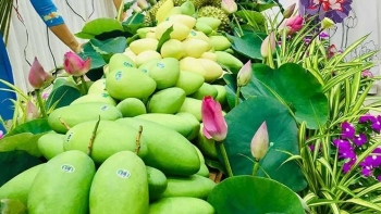 Đồng Tháp đăng cai Diễn đàn sản phẩm OCOP Đồng bằng sông Cửu Long và Lễ hội Xoài