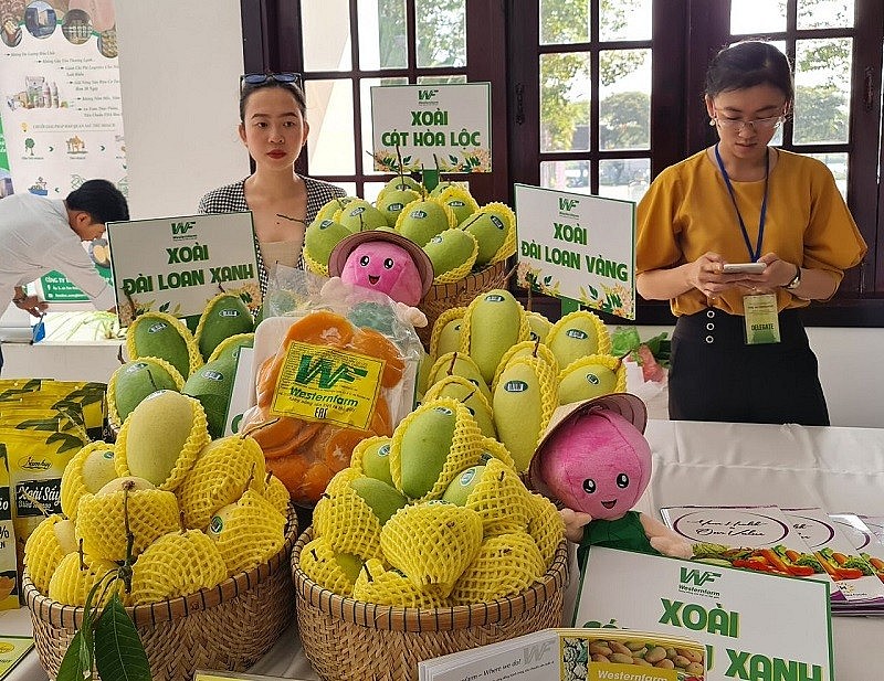 Đồng Tháp đăng cai Diễn đàn sản phẩm OCOP Đồng bằng sông Cửu Long và Lễ hội Xoài (ảnh: Bình Nguyên) Đồng Tháp đăng cai Diễn đàn sản phẩm OCOP Đồng bằng sông Cửu Long và Lễ hội Xoài (ảnh: Bình Nguyên)