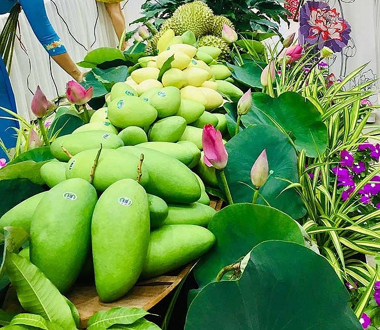 Xoài Cát chu Cao Lãnh của Đồng Tháp được nhiều khách hàng trong và ngoài nước ưa chuộng Xoài Cát chu Cao Lãnh của Đồng Tháp được nhiều khách hàng trong và ngoài nước ưa chuộng Xoài Cát chu Cao Lãnh của Đồng Tháp được nhiều khách hàng trong và ngoài nước ưa chuộng Xoài Cát chu Cao Lãnh của Đồng Tháp được nhiều khách hàng trong và ngoài nước ưa chuộng