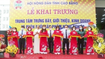 Cao Bằng: Khai trương Trung tâm trưng bày, kinh doanh và phân phối sản phẩm nông nghiệp