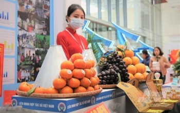 Chuỗi tập huấn Chương trình OCOP năm 2021 thu hút hơn 100.000 lượt học viên tham dự