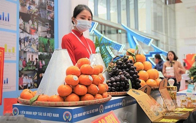 Ảnh minh họa. Ảnh minh họa.