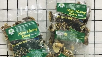 Cao Bằng có thêm 10 sản phẩm được đánh giá, phân hạng sản phẩm OCOP