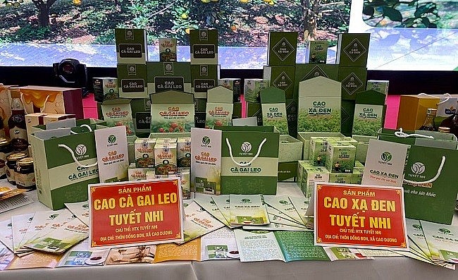 Nhiều sản phẩm có sự đầu tư trong khâu thiết kế, trình bày mẫu mã bao bì sản phẩm.. Nhiều sản phẩm có sự đầu tư trong khâu thiết kế, trình bày mẫu mã bao bì sản phẩm..